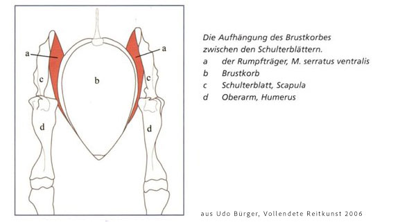 Aufhaengung