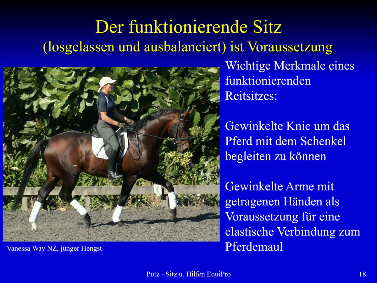 Unbenannt-1